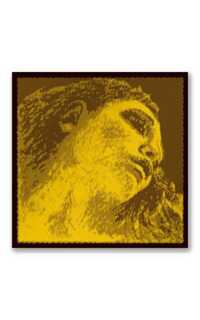 cuerda viola - pirastro evah pirazzi gold 4º do